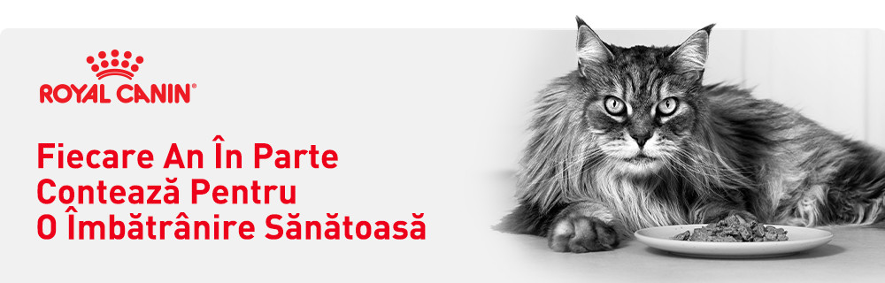 Fiecare an în parte contează pentru o îmbătrânire sănătoasă