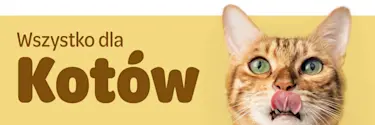 Wszystko dla kotów