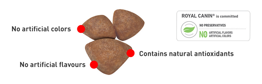 Royal Canin Puppy Kibbles