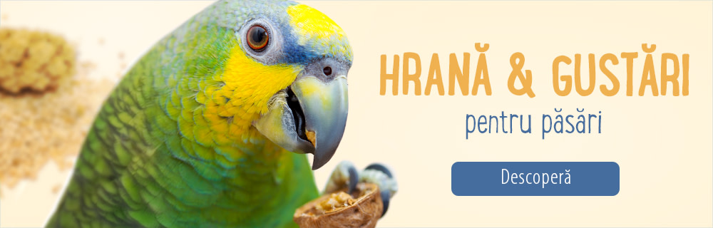 Hrană pentru păsări