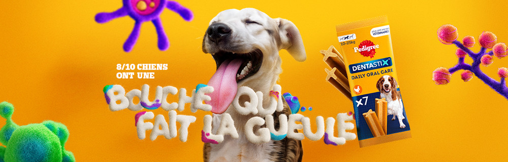 Bouche qui fait la gueule