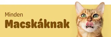 Minden Macskaknak