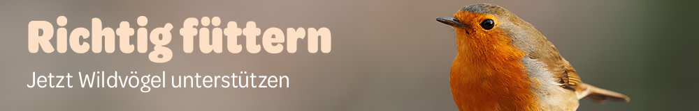 Wildvögel unterstützen