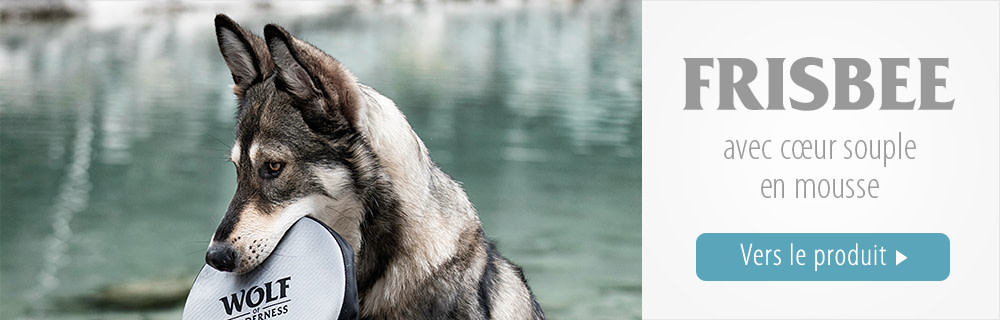 Wolf of Wilderness - Frisbee