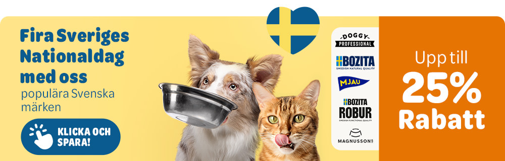 Sveriges Nationaldag