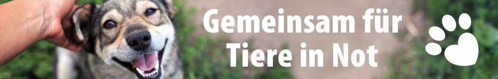 zooplus hilft! Wir unterstützen den Tierschutz