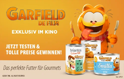 Garfield 