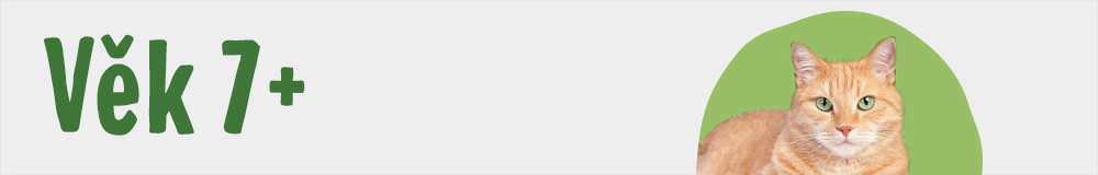 Kočky 7+