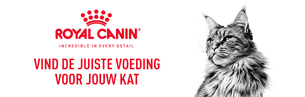 RC kat banner