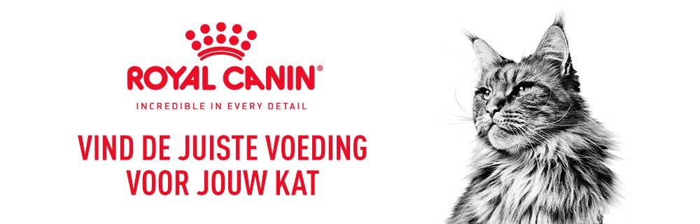 RC kat banner
