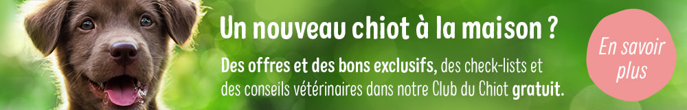 Le Club du chiot