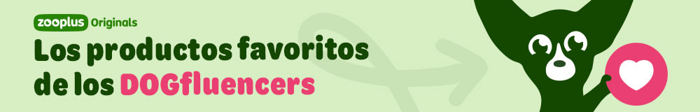 Los productos favoritos de los DOGfluencers