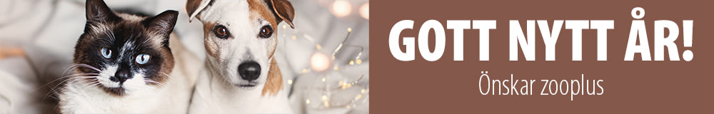 Gott nytt Är