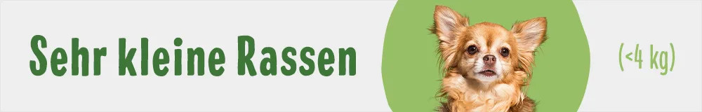 Extra kleine Rassen