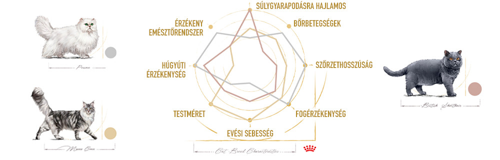 Minden fajtának sajátos egészségügyi érzékenysége van