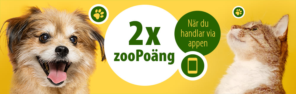 Dubbla zooPoäng på app köp