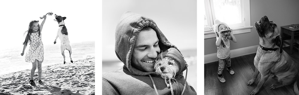 Pedigree Philosophie