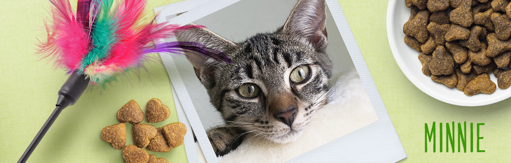 Minnie, notre grande gourmande