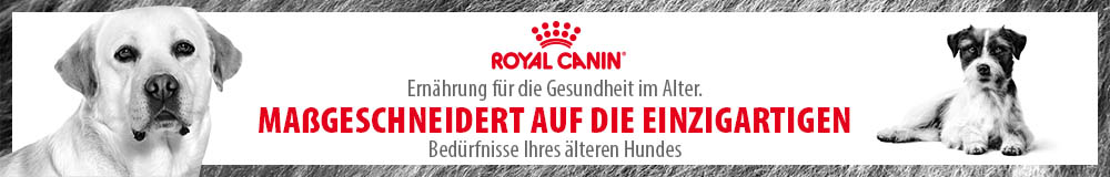 Royal Canin Hundefutter Senior