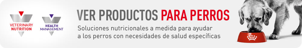 Royal Canin Veterinary para perros