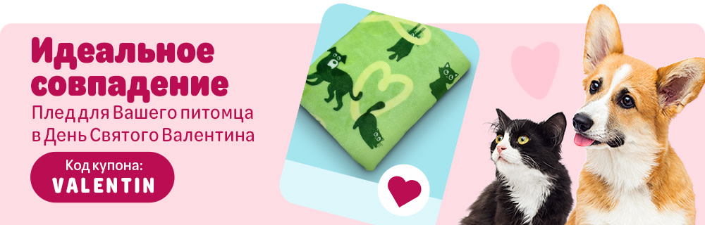 Плед для Вашего питомца в День Святого Валентина. Код купона VALENTIN