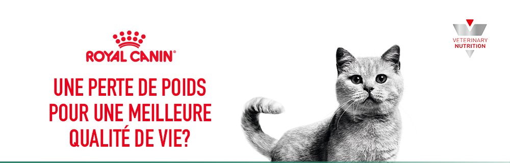 Royal Canin Veterinary Weight Management pour chat