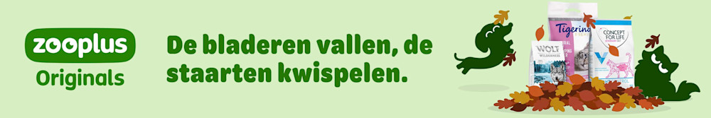 Nieuwe klanten