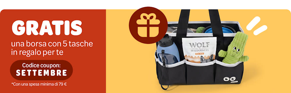 Una borsa impermeabile con 5 tasche in regalo per te!