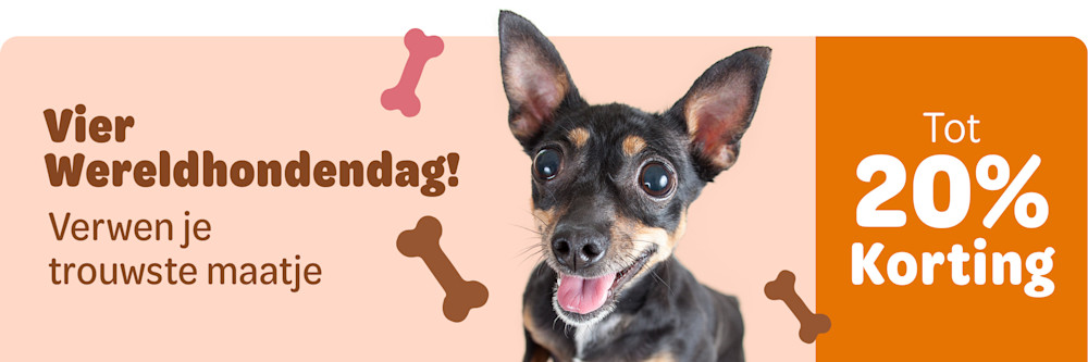 dog day