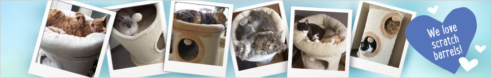 Scratching Posts & Barrels