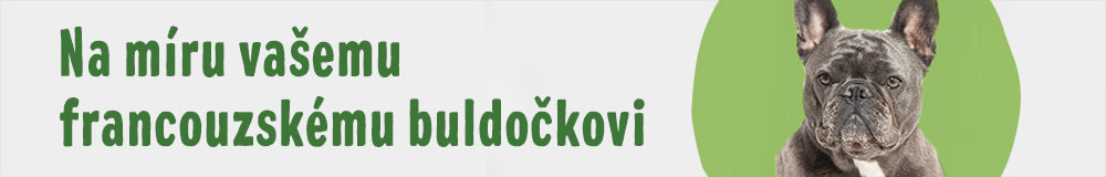 Francouzský buldoček