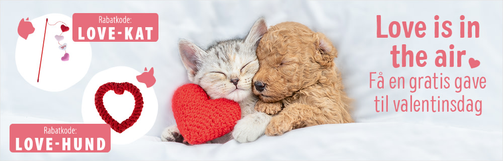 Glædelig Valentins dag!