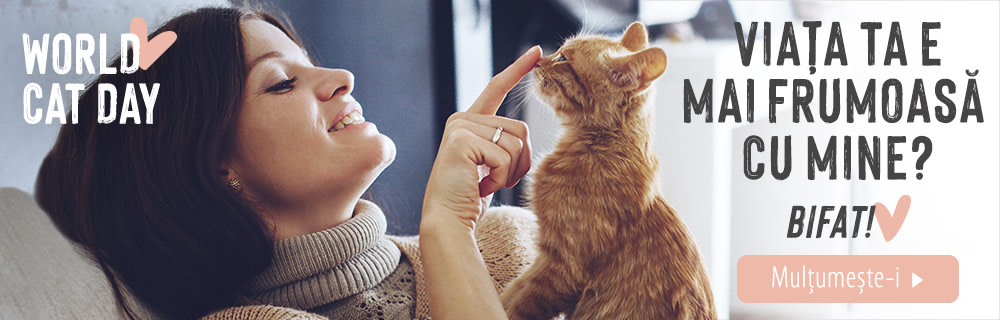 Make life more beautiful? Checked!