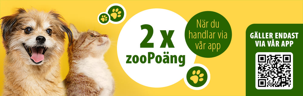 ZooPoäng