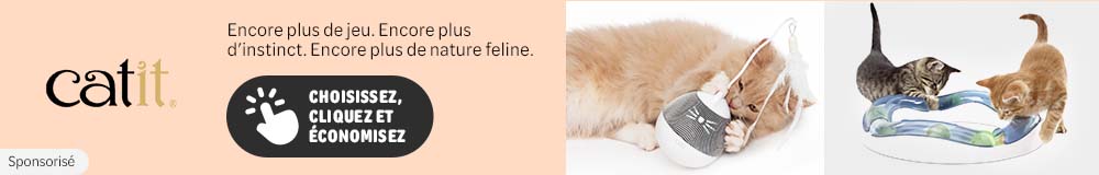 Jouets Catit cat