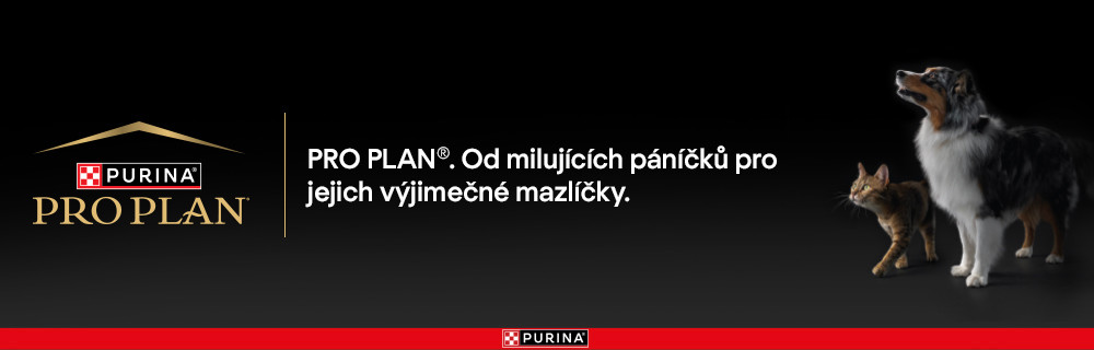pro plan
