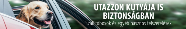 Kutya szállítóbox