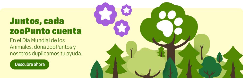 Día Mundial de los Animales: ¡participa en nuestra campaña de donaciones con motivo del Día Mundial de los Animales!