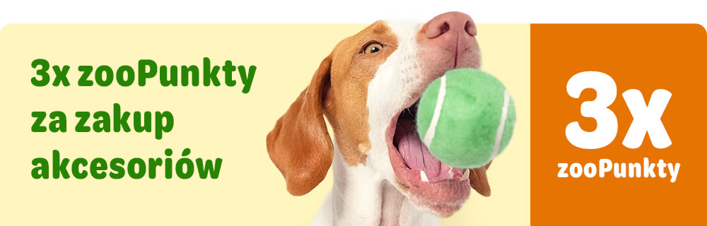 3x zooPunkty za zakup akcesoriów!