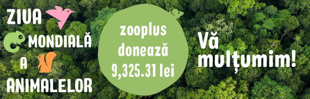 zooplus donează 9,325.31 lei de Ziua Mondială a Animalelor