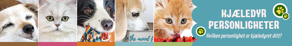Pet personality