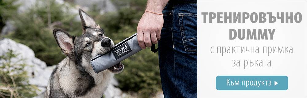 Тренировъчно Dummy