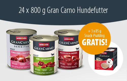 Animonda GranCarno + Snack-Pudding gratis
