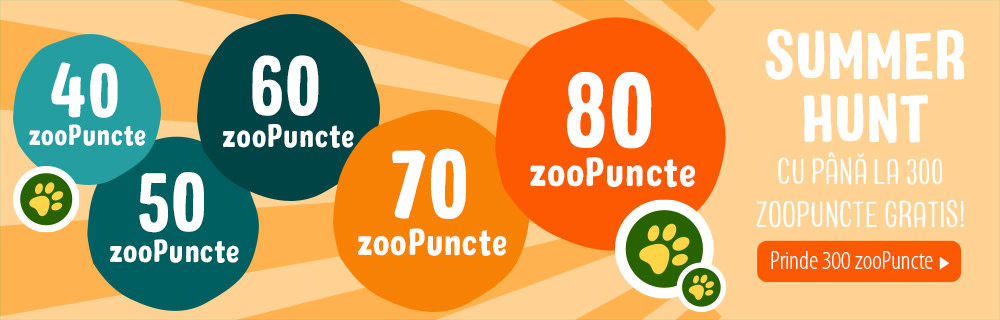 Găsește produsele cu zooPuncte și obține până la 300 de zooPuncte gratis!