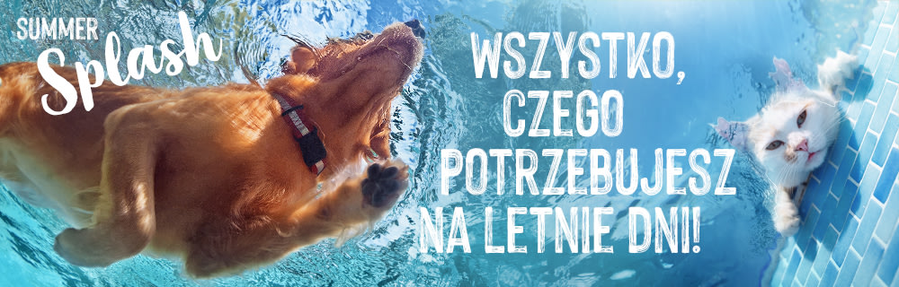 Baner