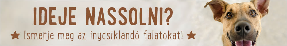 Jutalomfalat
