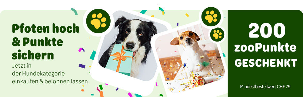 Pfoten hoch & Punkte sichern. Jetzt in der Hundekategorie einkaufen & belohnen lassen - 200 zooPunkte geschenkt (Mindestbestellwert CHF 79)