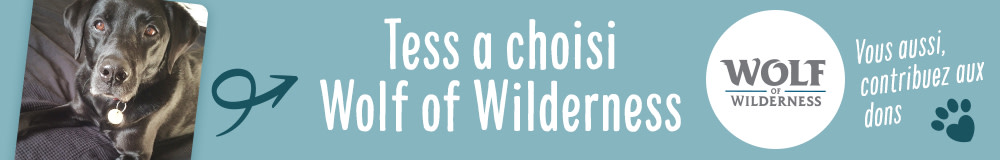 Vous aussi, contribuez aux dons avec Wolf of Wilderness