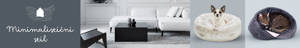 Minimalistični stil