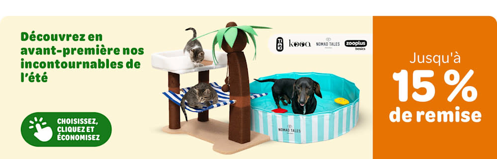 Jusqu'à 15 % de remise sur les accessoires d'été